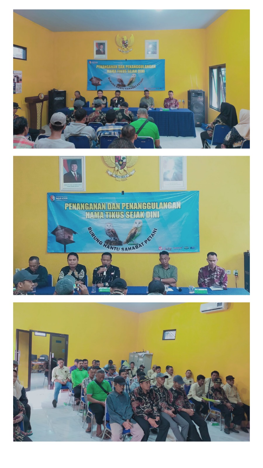 PEMBINAAN PENANGANAN DAN PENANGGULANGAN HAMA TIKUS SEJAK DINI